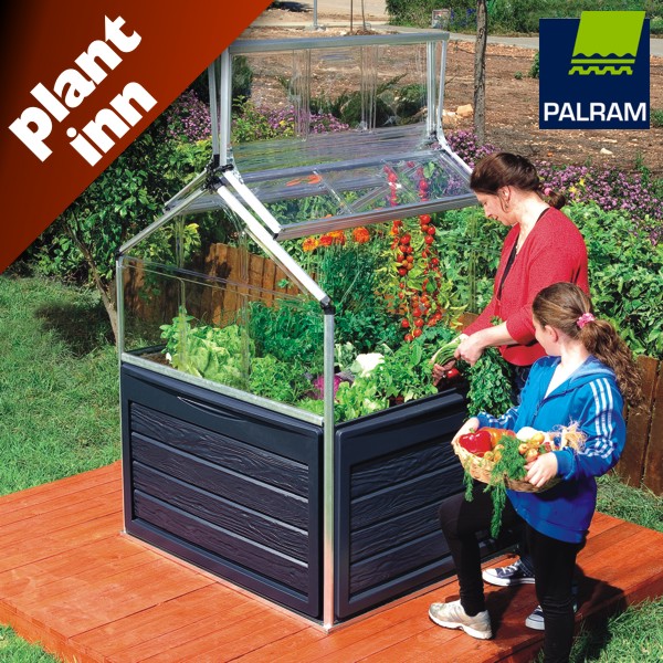 Featured image for “Palram Canopia | Plant Inn Raised Bed Greenhouse (Clear)”