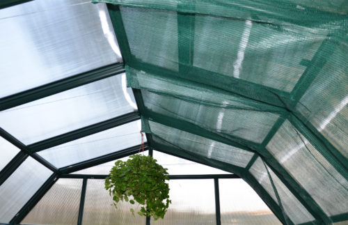 Featured image for “Palram Canopia® | Greenhouse Shading Kit”