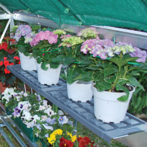 Palram Greenhouses Accessories Twin Shelf Kit Main 1