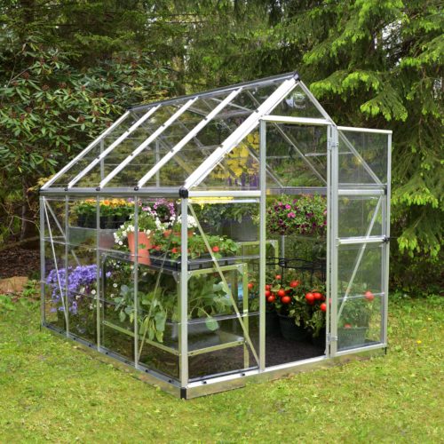 Featured image for “Palram Canopia®| 6x8 Harmony™ Greenhouse (Silver)”