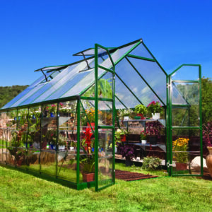 Palram Greenhouses Balance 8x12 Green Main 1