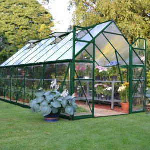 Palram Greenhouses Balance 8x16 Green Main 3