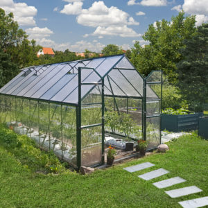 Palram Greenhouses Balance 8x20 Green Main 1