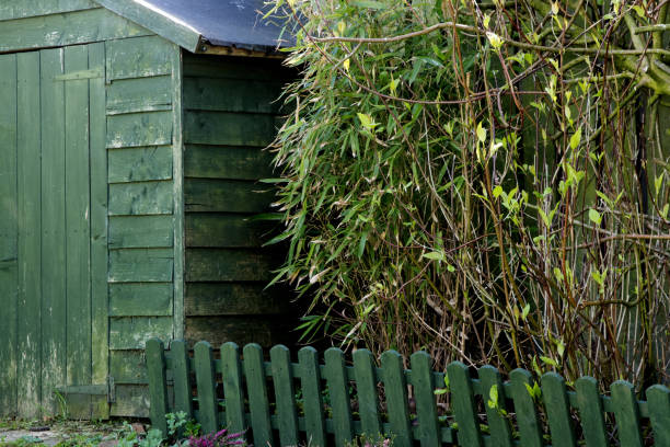 A Guide to Garden Buildings and Which One is Right for You