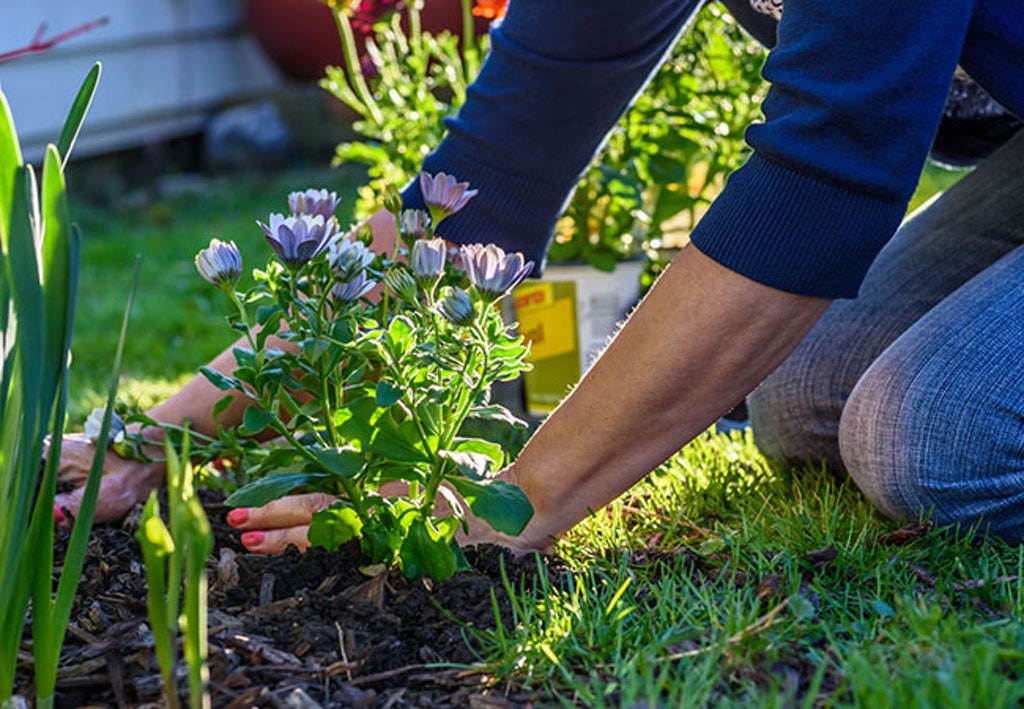 Featured image for “3 Crops To Grow In A Greenhouse & 3 To Plant Outside”