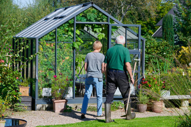 Featured image for “How to Get Started with Your Greenhouse”
