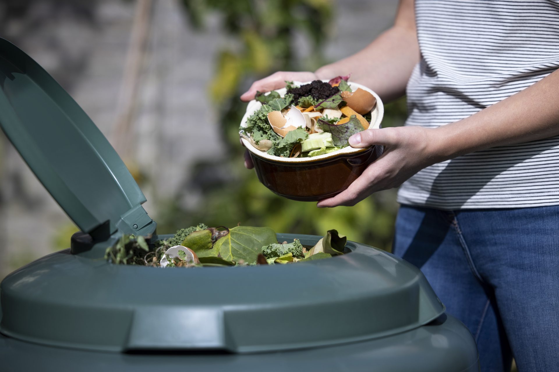 Making Your Shed More Environmentally Friendly